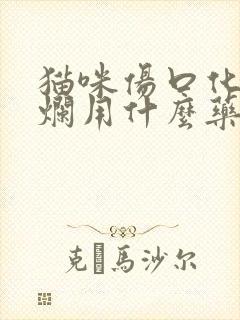 猫咪伤口化脓溃烂用什么药