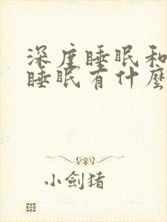 深度睡眠和浅度睡眠有什么区别