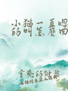 小猫一直嗯嗯嗯的叫怎么回事