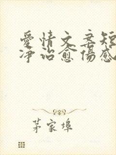 爱情文案短句干净治愈伤感