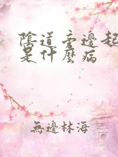 阴道旁边起水泡是什么病