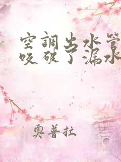 空调出水管老鼠咬破了漏水咋修