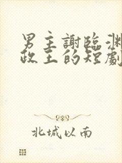 男主谢临渊是摄政王的短剧叫什么