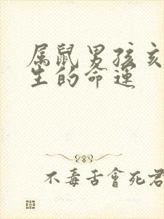 属鼠男孩亥时出生的命运