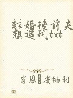 离婚后前夫总是想追我txt