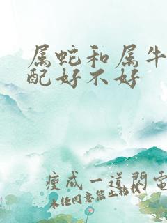 属蛇和属牛的婚配好不好