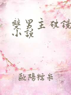 双男主破镜重圆小说