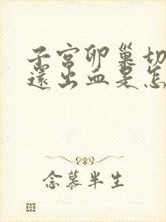 子宫卵巢切除后还出血是怎么回事