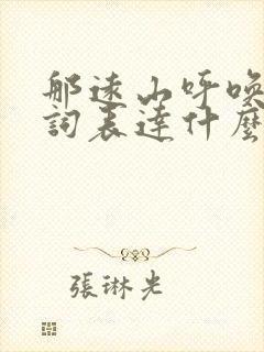 那远山呼唤我歌词表达什么情感