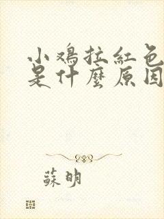 小鸡拉红色的屎是什么原因