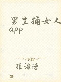 男生捅女人下面app
