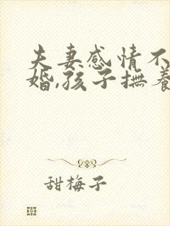 夫妻感情不和离婚,孩子抚养权怎么判