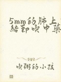 5mm的肺上有结节吃中药能消除吗