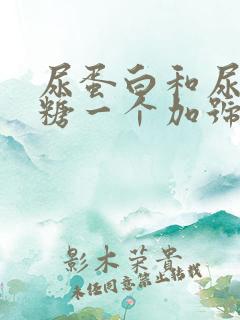 尿蛋白和尿葡萄糖一个加号怎么回事