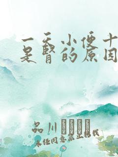 一天小便十几次是肾的原因吗