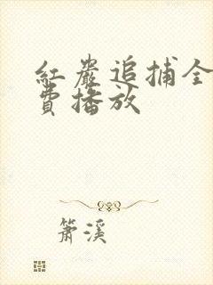 红岩追捕全集免费播放