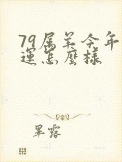 79属羊今年财运怎么样