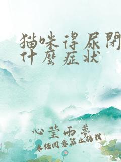 猫咪得尿闭症是什么症状