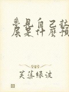 梦见自己拉好多屎是什么预兆女性