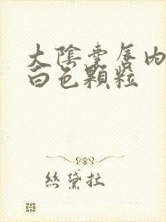 大阴囊唇内侧有白色颗粒