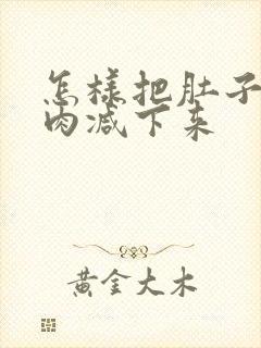 怎样把肚子上的肉减下来