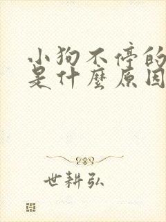 小狗不停的叫唤是什么原因