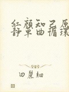 红颜知己原唱安静单曲循环