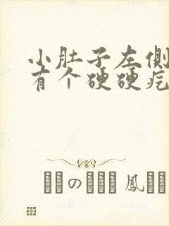 小肚子左侧里面有个硬硬疙瘩