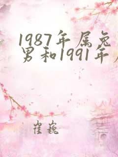 1987年属兔男和1991年属羊女婚配