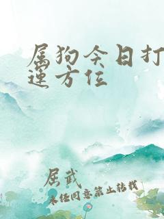 属狗今日打牌财运方位