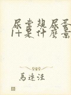 尿常规尿蛋白质1+是什么意思