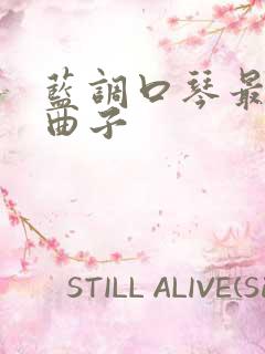 蓝调口琴最好听曲子