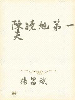 陈晓旭第一任丈夫