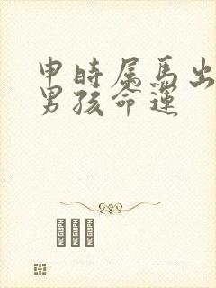 申时属马出生的男孩命运