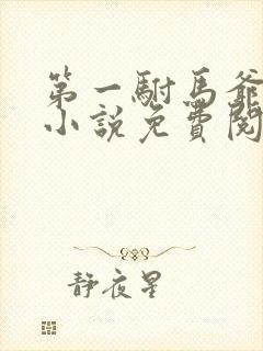 第一驸马爷顾道小说免费阅读