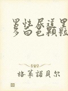 男性尿道里有许多白色颗粒