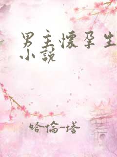 男主怀孕生子的小说