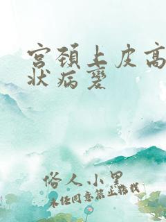 宫颈上皮高度鳞状病变