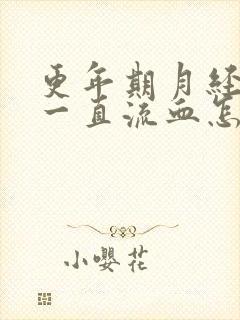 更年期月经不停一直流血怎么治疗吃什么药