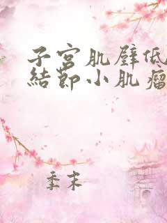 子宫肌壁低回声结节小肌瘤