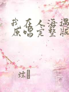 我在人海遇见你原唱完整版