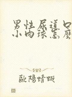 男性尿道口有个小肉球怎么回事