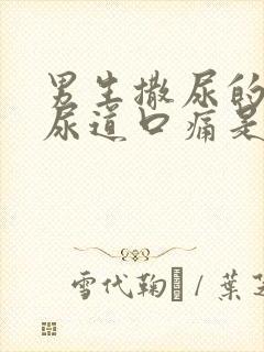 男生撒尿的时候尿道口痛是什么原因