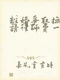 离婚争取抚养权请律师费一般是多少钱