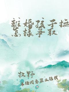 离婚孩子抚养权怎样争取