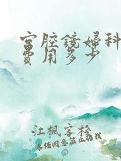 宫腔镜妇科检查费用多少