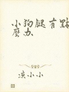 小狗腿有点瘸怎么办