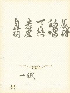 月光下的凤尾竹葫芦丝唱谱