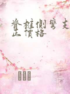 脊椎侧弯支具矫正价格