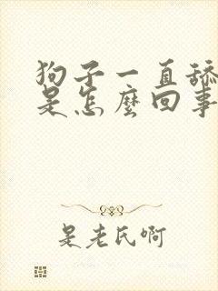 狗子一直舔爪子是怎么回事